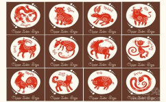 十二生肖顺序,从鼠到猪，探寻中国传统文化中的生肖奥秘