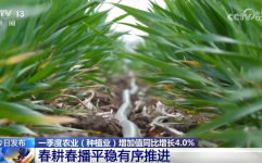 月度宏观经济回顾与展望多维数据勾勒一季度中国宏观经济形势“成绩单” 高质量发展向新向好