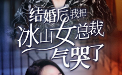 我老婆是冰山女总裁,爱情与事业的完美融合