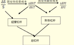 财务杠杆系数,解析企业财务风险与盈利能力的核心指标