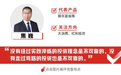 基金570001,投资策略与市场表现解析