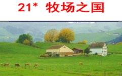 牧场之国ppt,荷兰田园风光的PPT描绘