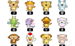 十二生肖顺序,从鼠到猪，探寻中国传统文化中的生肖奥秘