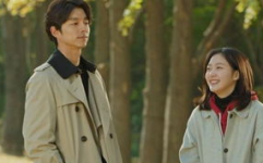 穿书女配小说娱乐圈吃瓜,女配吃瓜指南，解锁人生新境界