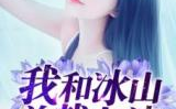 我老婆是冰山女总裁,爱情与事业的完美融合