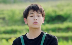 爱豆吃瓜娱乐酱陈晓,爱豆吃瓜娱乐酱，揭秘娱乐圈幕后故事