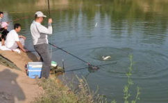 娱乐吃瓜钓鱼视频下载安装,娱乐吃瓜钓鱼视频，轻松安装体验新乐趣