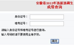 选调生成绩查询,实力与努力的见证