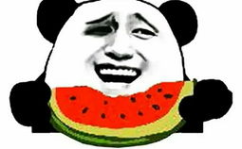 网红鸭吃瓜,趣味横生演绎网络热点