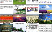 牧场之国ppt,荷兰田园风光的PPT描绘