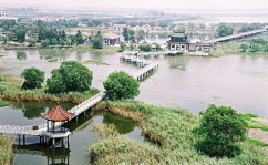 盐城旅游,湿地之都，生态旅游胜地