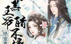 腹黑王爷绝色毒妃,爱恨交织的宫廷恋曲