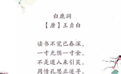 有名的诗句,探寻千古佳句的韵味与哲理