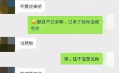 娱乐吃瓜酱聊天记录,聊天记录中的娱乐圈风云