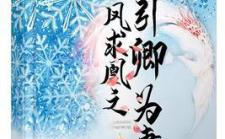 凤求凰小说,宫廷权谋与爱情传奇
