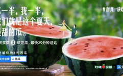 娱乐吃瓜群文案,吃瓜群背后的故事与真相