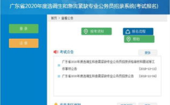 选调生成绩查询,实力与努力的见证