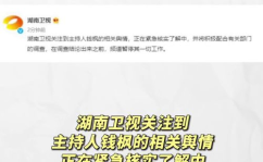 娱乐圈吃瓜运营模式有哪些,流量变现与内容创新之道